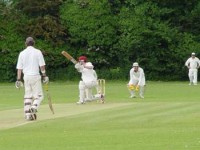 Pure Energy Sponsors Haverhill Cricket Club